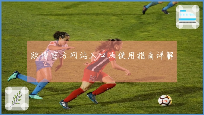 欧博官方网站入口及使用指南详解