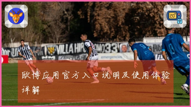 欧博应用官方入口说明及使用体验详解