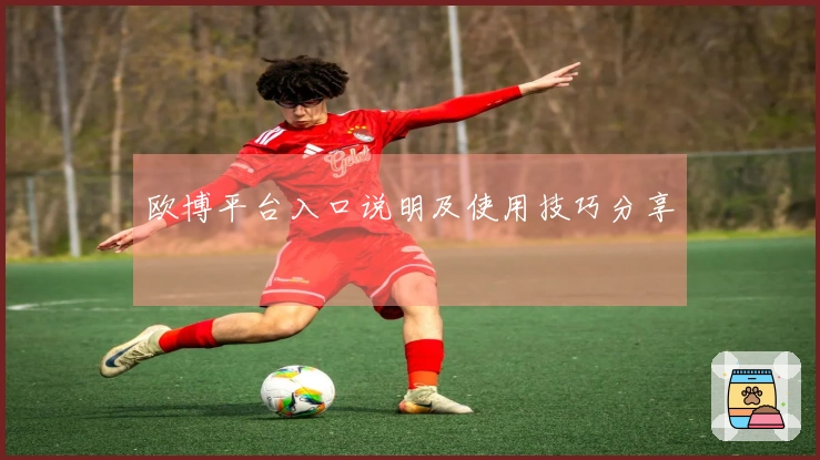 欧博平台入口说明及使用技巧分享