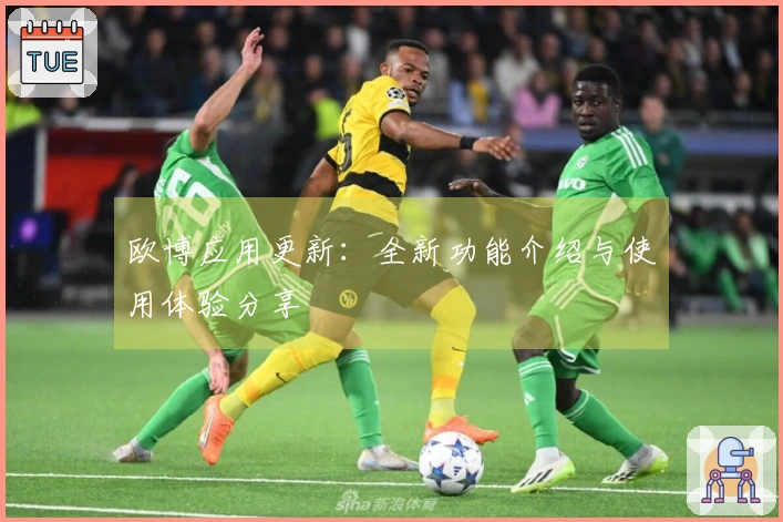 欧博应用更新：全新功能介绍与使用体验分享